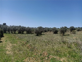 29 DEL SECTOR RES-II 8