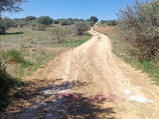 29 DEL SECTOR RES-II 9
