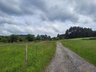 TRASMONTE 4