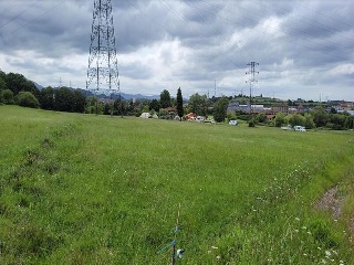 TRASMONTE 5