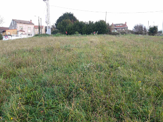 MONTE BOLADO 2