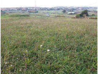 MONTE BOLADO 4