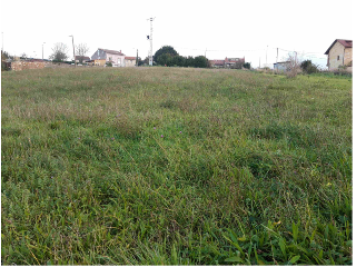 MONTE BOLADO 5