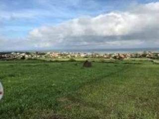 MONTE BOLADO 8