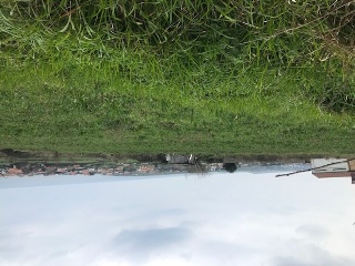 MONTE BOLADO 11