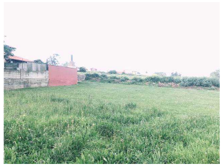 MONTE BOLADO 15