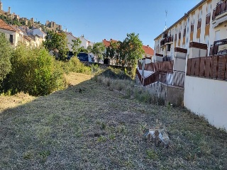 CRUCES 2