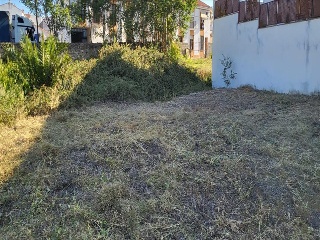 CRUCES 4