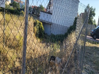 CRUCES 7