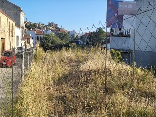 CRUCES 8