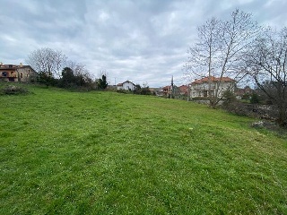 ARCILLERO 5