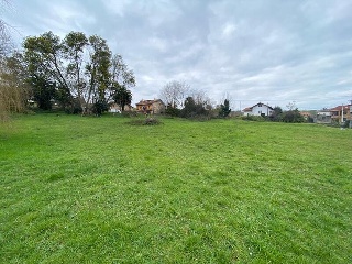 ARCILLERO 8