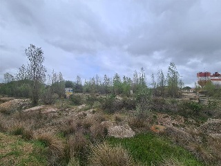 504 PARCELA 580 19