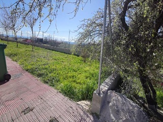 Calle Zurbarán 2