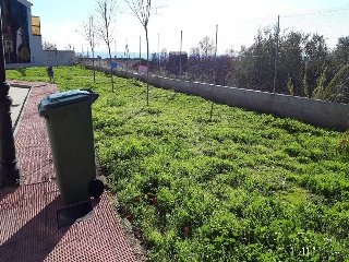 Calle Zurbarán 10