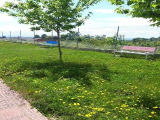 Calle Zurbarán 11