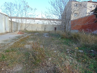 ALEGRIA 5