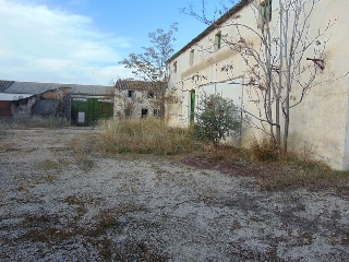 ALEGRIA 7
