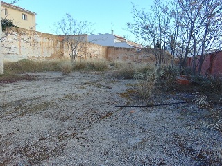ALEGRIA 8