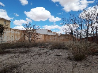 ALEGRIA 12