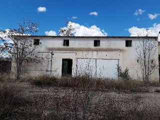 ALEGRIA 13