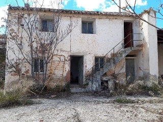 ALEGRIA 14