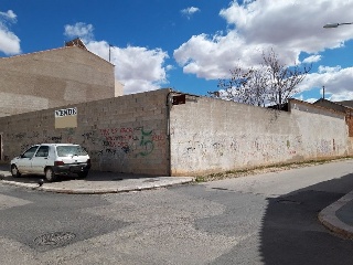 ALEGRIA 15