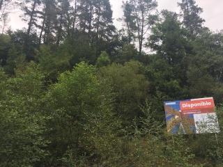 IBUR ERREKA UEU 4, PARCELA N 2