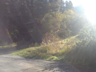 IBUR ERREKA UEU 4, PARCELA N 6