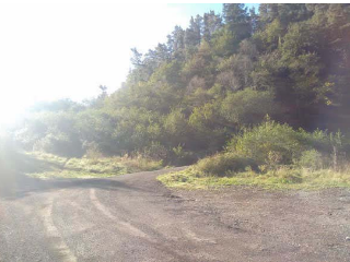 IBUR ERREKA UEU 4, PARCELA N 7