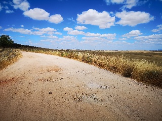 PARAJE LA MORALEJA POLIGONO 13, PARCELA 105 2