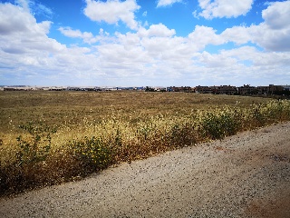 PARAJE LA MORALEJA POLIGONO 13, PARCELA 105 3