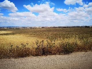 PARAJE LA MORALEJA POLIGONO 13, PARCELA 105 4
