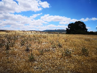 PARAJE LA MORALEJA POLIGONO 13, PARCELA 105 5