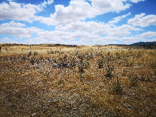 PARAJE LA MORALEJA POLIGONO 13, PARCELA 105 6