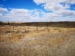 PARAJE LA MORALEJA POLIGONO 13, PARCELA 105 7