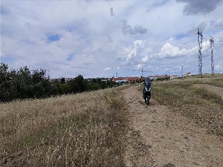 PARAJE LA MORALEJA POLIGONO 13, PARCELA 105 12