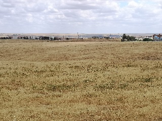 PARAJE LA MORALEJA POLIGONO 13, PARCELA 105 13