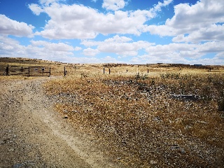 PARAJE LA MORALEJA POLIGONO 13, PARCELA 105 15
