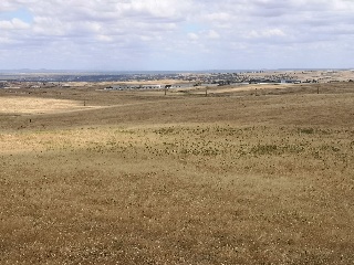 PARAJE LA MORALEJA POLIGONO 13, PARCELA 105 17