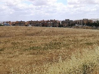 PARAJE LA MORALEJA POLIGONO 13, PARCELA 105 18