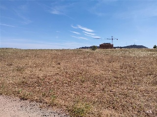 PARAJE LA MORALEJA POLIGONO 13, PARCELA 105 19