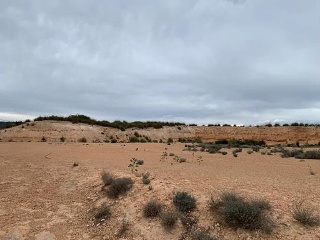 Otros en venta en Murcia
