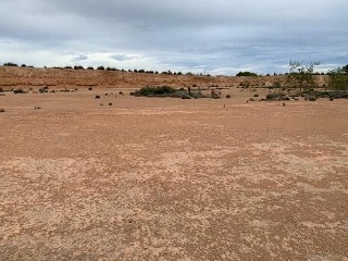 PARAJE DE RIQUELME 2