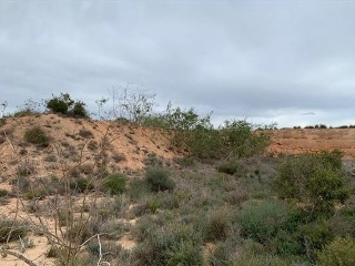 PARAJE DE RIQUELME 3