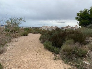 PARAJE DE RIQUELME 4