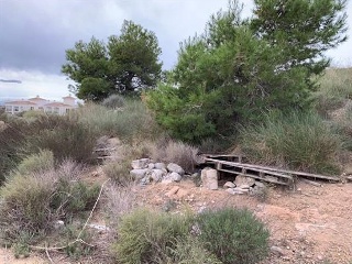 PARAJE DE RIQUELME 5