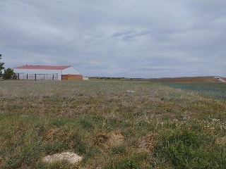 VEREDA DEL RETAMAL, PARCELA 472 23