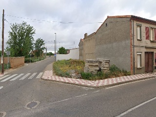 COTORRILLO 2