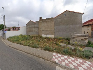 COTORRILLO 3